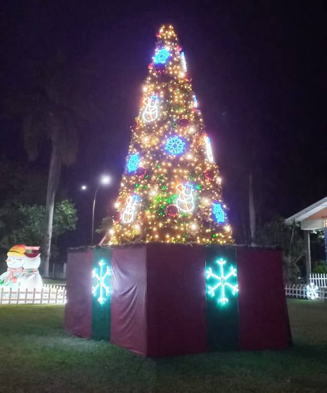 Árvore de Natal Externa