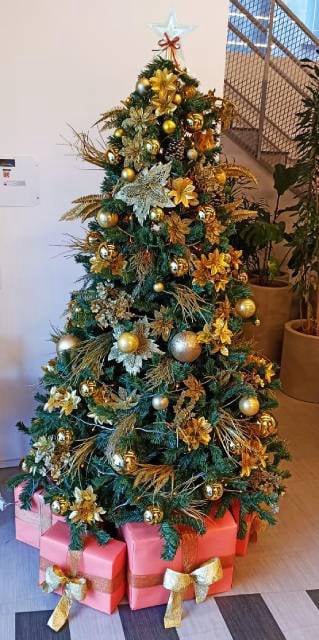 Árvore de Natal Interna