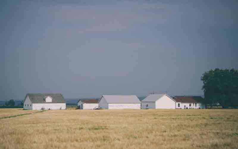 Decoração de Natal